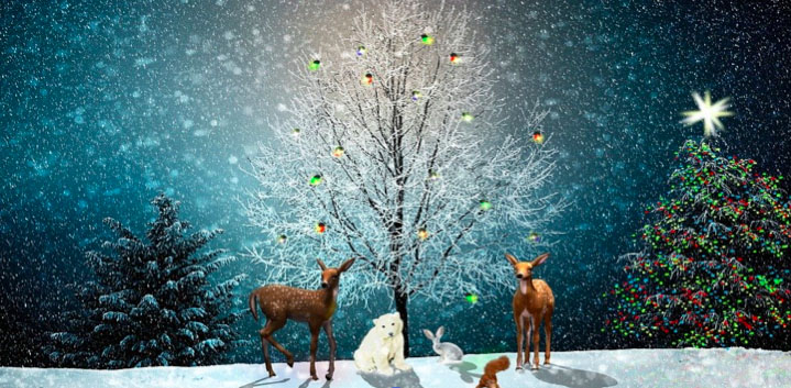 A Christmas Message